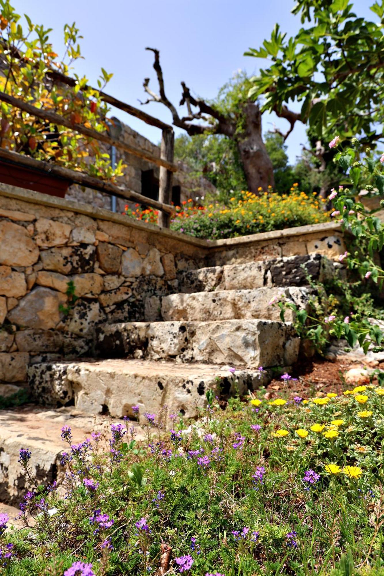 Residencefusaro Pajare Specchia Exterior photo